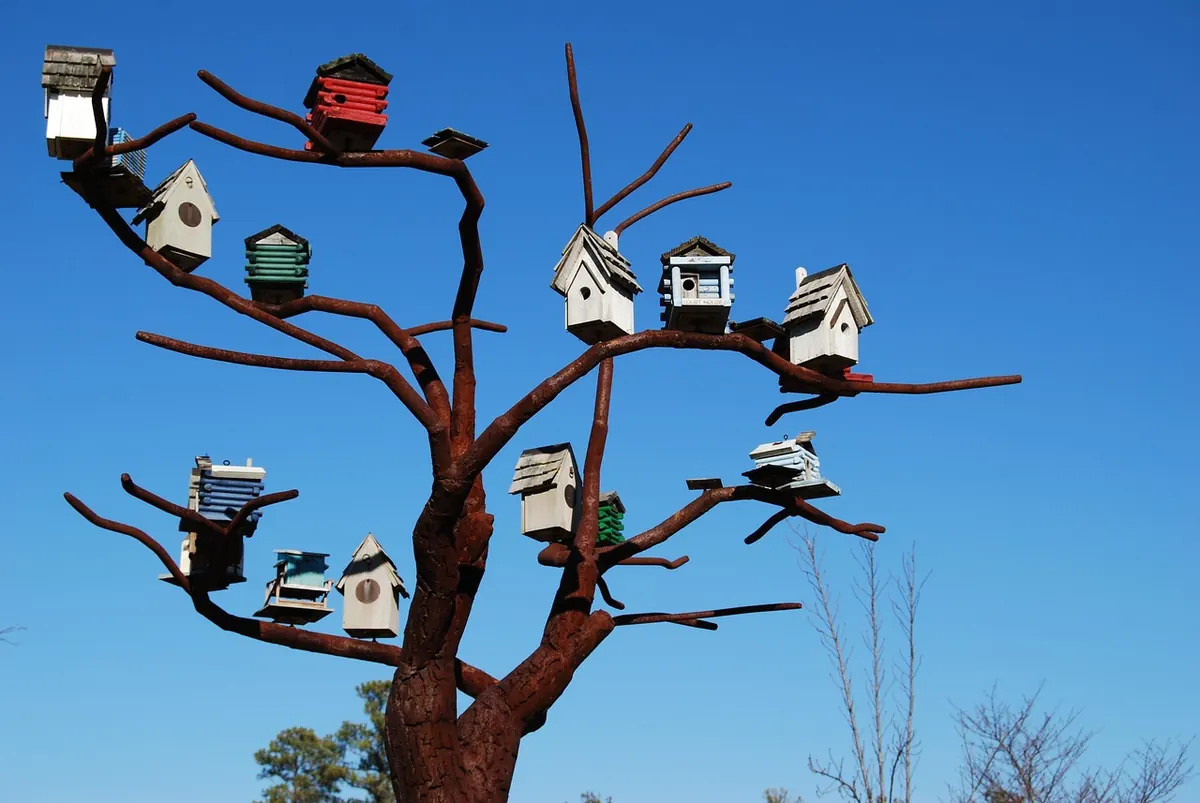 How to Build a Bird Box for British Garden Birds